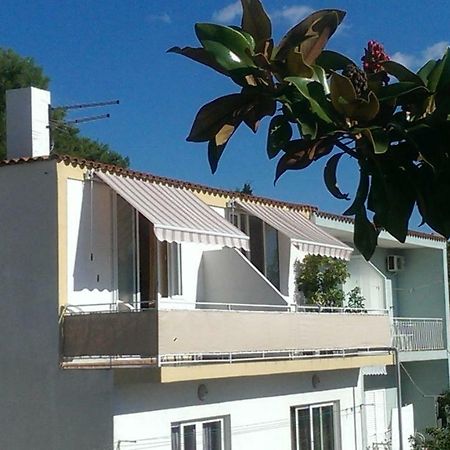 באסקה וודה Apartmani Carevic מראה חיצוני תמונה