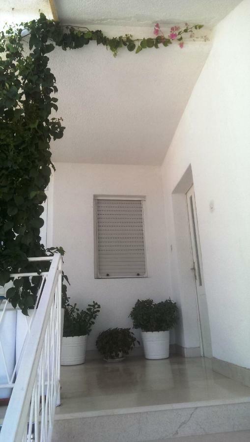 באסקה וודה Apartmani Carevic מראה חיצוני תמונה