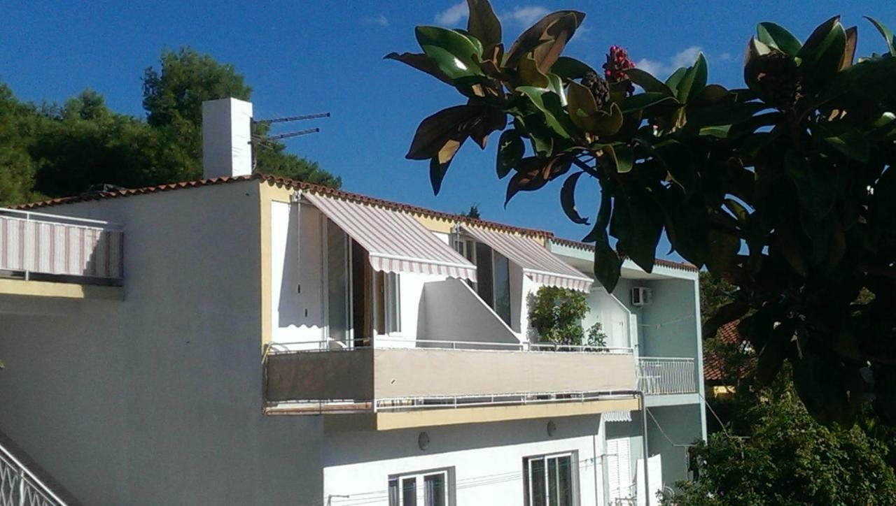 באסקה וודה Apartmani Carevic מראה חיצוני תמונה